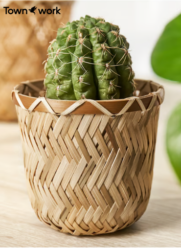 /public/storage/photos/1/Product/1749901285_684d5fe511d16_Plant pot handmade bamboo (2).png